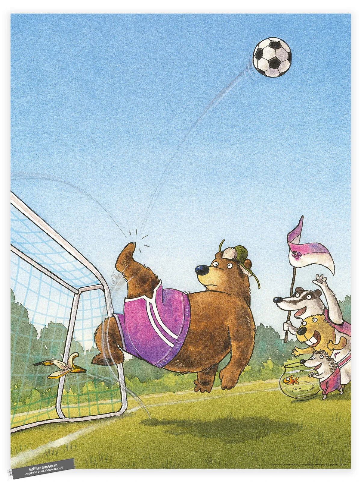 Poster Anpfiff für Dr. Brumm – Fallrückzieher